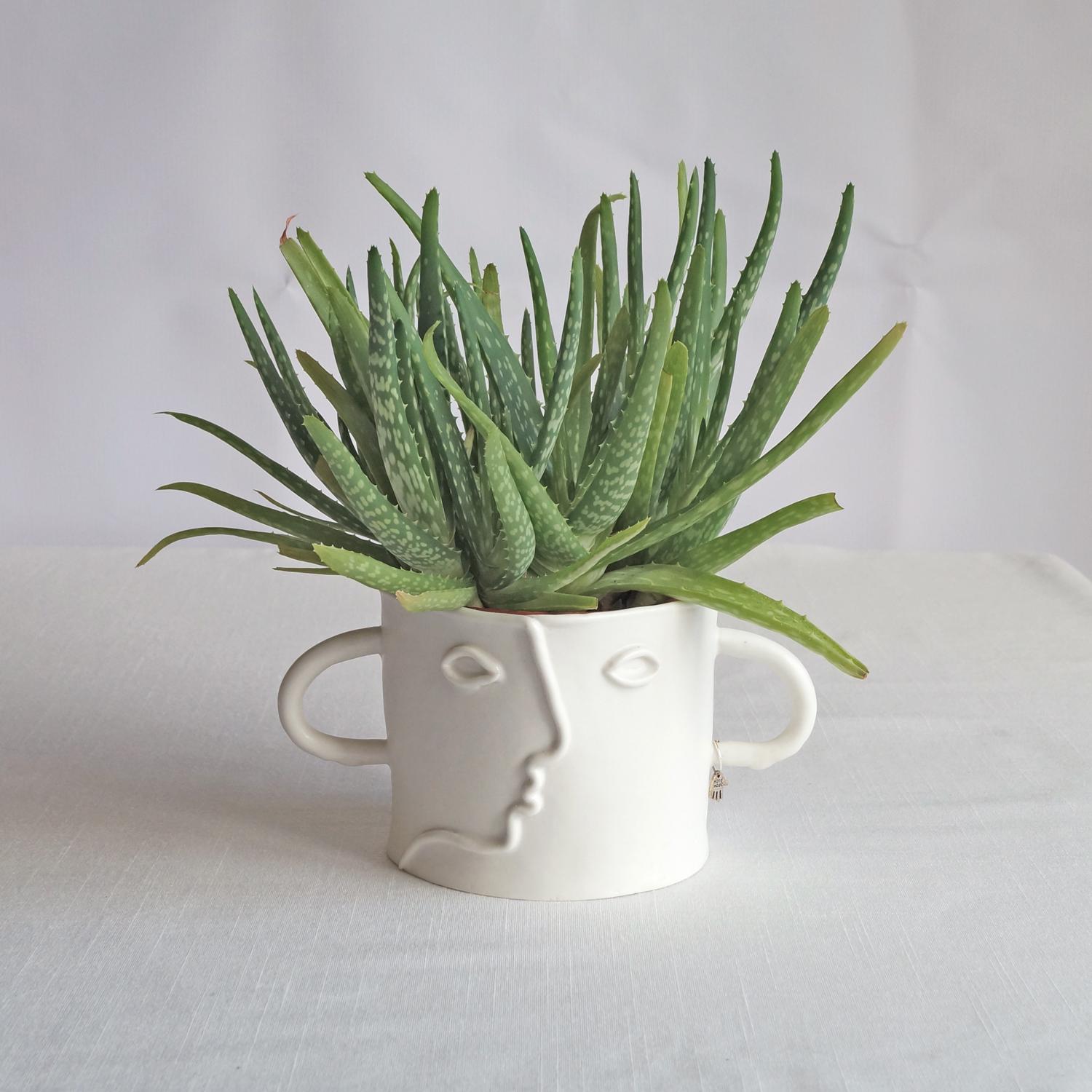 Pablo, plant pot, choose pastel colour, white, mint, orange, pink, grey, porcelain face, ceramics with faces, face plant pot,