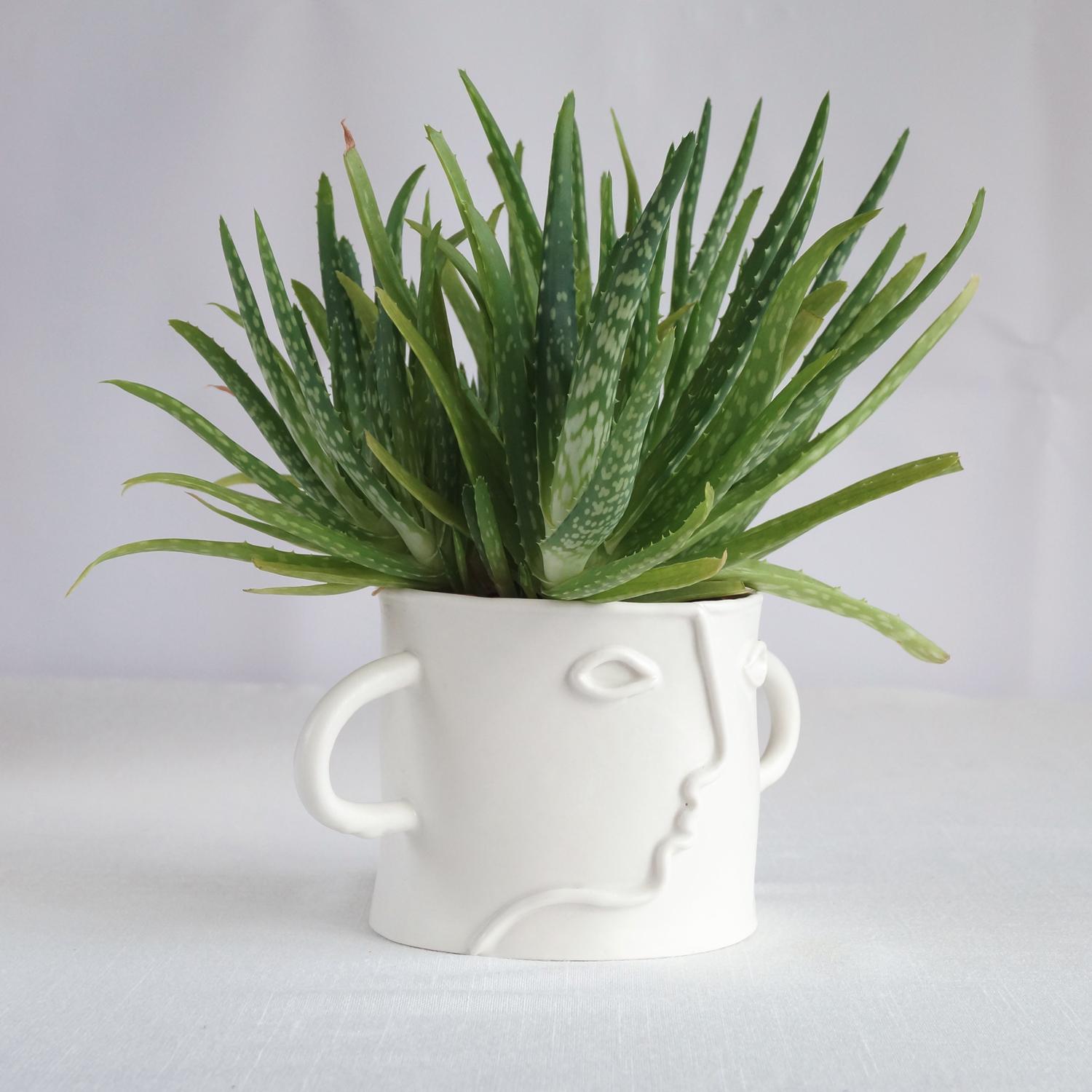 Pablo, plant pot, choose pastel colour, white, mint, orange, pink, grey, porcelain face, ceramics with faces, face plant pot,