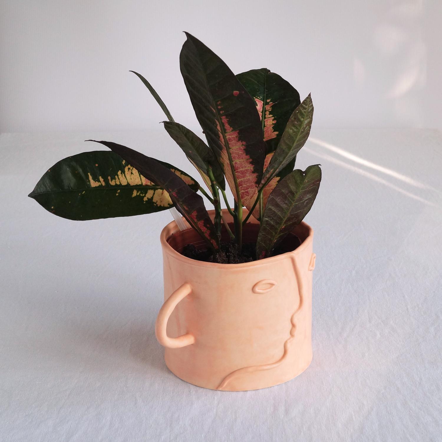 Pablo, plant pot, choose pastel colour, white, mint, orange, pink, grey, porcelain face, ceramics with faces, face plant pot,